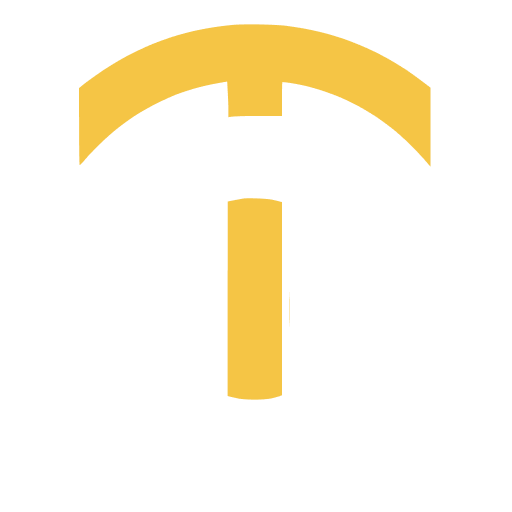 Executive Taxi